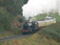 22nd September 2006 - Severn Valley Railway - Festival of Steam - Class 8F 2-8-0 No. 48773 in Cutting near Eardington Village