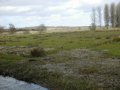 6th April 2003 - 'AA' Dunwich Common - Minsmere Level