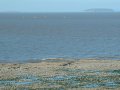3rd September 2004 - AA9 East Quantoxhead - Flat Holm & Steep Holm