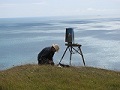 16th August - SWCP - Artist on Rings Hill