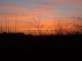 13th January 2005 - Walk 610 - Grand Union Canal - Sunset over Market Harborough