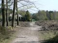 18th April 2007 - Heart of England Way - Trees Felled by Flints Corner