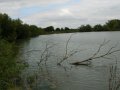 27th August 2007 - Heart of England Way - Canal Pool by Curdworth Bottom Lock