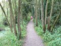 27th August 2007 - Walk 700 - Heart of England Way - Kingsbury Water Park Trail Path