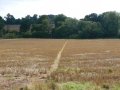 11th September 2007 - Heart of England Way - Path Towards Dumble Wood