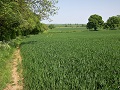 13th May 2008 - Heart of England Way - Towards Henley from north of Bannam's Wood