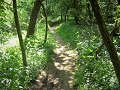 13th May 2008 - Heart of England Way - Path through Bannam's Wood