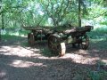 13th May 2008 - Heart of England Way - Derelict Cart in Bannam's Wood