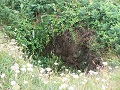 18th September 2009 -  Mine Shaft on Rinsey Point