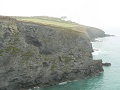 18th September 2009 -  Sea Gulls on Cliffs near Porth Sillinces