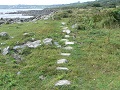 22th July 2009 - Lowland Point 
