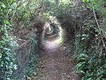 22th July 2009 - Path between Trenance and Vineyard