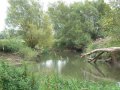 14th August 2009 - Thames Path 2 - River near Eysey Manor