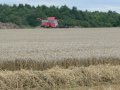 14th August 2009 - Thames Path 2 - Combine Harvesting near Water Eaton Cottages