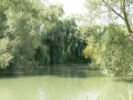 28th August 2009 - Thames Path 3 - River Coln Joins River Thames by Roundhouse