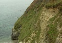 20th July 2009 - Cliffs near Fishing Point