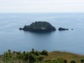 24th June 2010 - Gull Rock from Nare Head