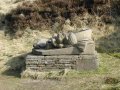 16 March 2003 - Peak District North/South Traverse - Still Life near Butterley Reservoir