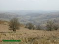 13th April 2003 - Midland Hillwalkers - Glyndwr's Highway - Looking East from Beacon Hill