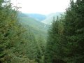 17th August 2003 - Midland Hillwalkers - Wild Head Way - Mynydd Dlgoed from Mynydd y Waun Forest