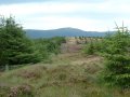 17th August 2003 - Midland Hillwalkers - Wild Head Way - Mynydd Meol from Tarren y Gesail