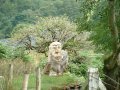 17th August 2003 - Walk 563 - Midland Hillwalkers - Wild Head Way - Wood Carving by Cwn Ratgoed