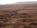14 December 2003 - Peak District - Brown Knoll - 'B' Group on Horsehill Tor towards Lord's Seat