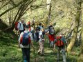 25th April 2004 - Glyndwr's Highway - Wood near Penthryn