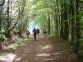 23rd May 2004 - Walk 584 - Quantock Hills - Walkers in Seven Wells Wood
