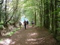 23rd May 2004 - Quantock Hills - Walkers in Seven Wells Wood