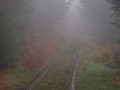 12th December 2004 - Radnor Forest - Misty Track in Radnor Forest