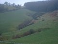 12th December 2004 - Radnor Forest - Whimble Forest from Knowle Hill