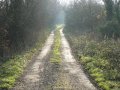 19th December 2006 - Warwickshire Ramble - Start of Ridgeway Lane at Hunningham Hill