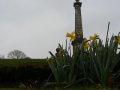 30th March 2007 - Chequers - Daffodils by Boer War Memorial on Coombe Hill