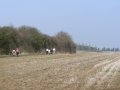 18th March 2009 - BT Group Walk - Walkers between Faxton and Old