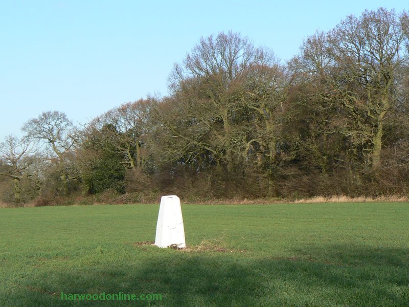10th December 2009 - NHS Group - OS Column near Bull & Butcher Farm (Click Here to Return to Walk Description No. 781)