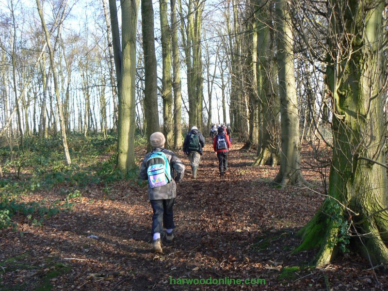 10th December 2009 - NHS Group - Walkers in Bull & Butcher Wood (Click Here to Return to Walk Description No. 781)